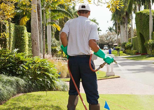 About Greenville OH Pest Control